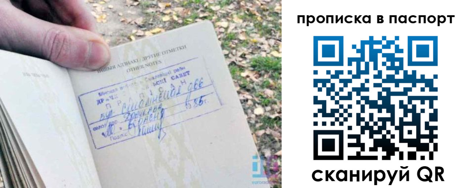 временная регистрация собственник в Светлогорске